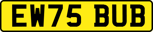 EW75BUB