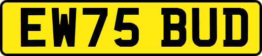 EW75BUD