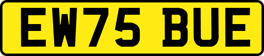 EW75BUE