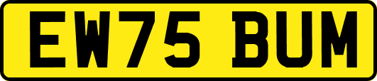 EW75BUM