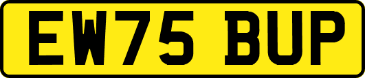EW75BUP