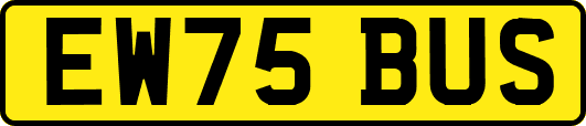 EW75BUS