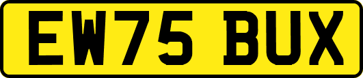 EW75BUX