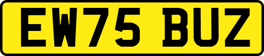 EW75BUZ