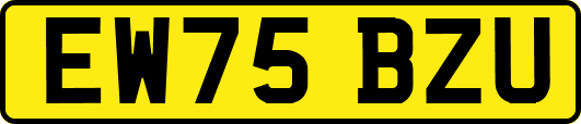 EW75BZU