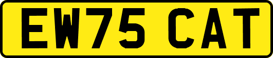 EW75CAT