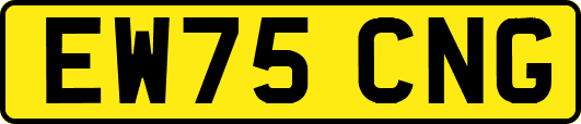 EW75CNG