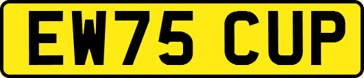 EW75CUP