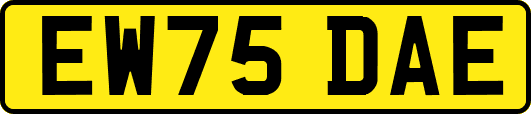 EW75DAE