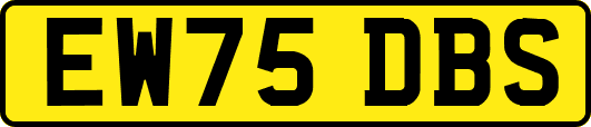 EW75DBS