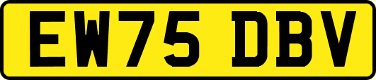 EW75DBV