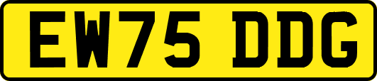 EW75DDG