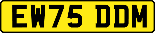 EW75DDM