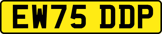 EW75DDP
