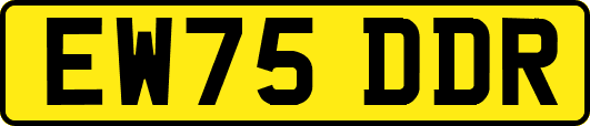 EW75DDR
