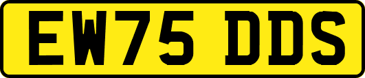 EW75DDS