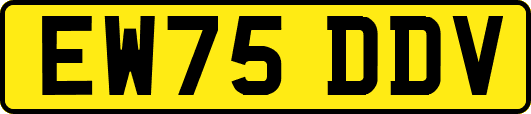 EW75DDV