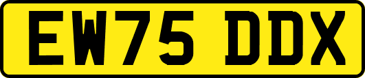 EW75DDX