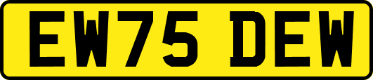 EW75DEW