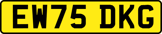 EW75DKG
