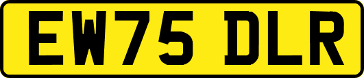 EW75DLR