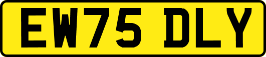 EW75DLY