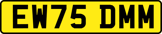 EW75DMM