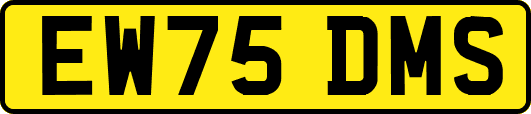 EW75DMS