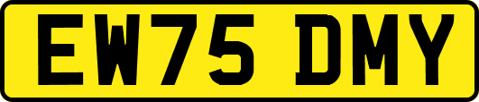 EW75DMY