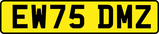 EW75DMZ