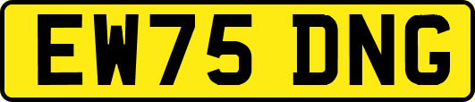 EW75DNG