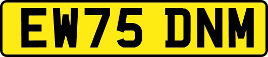 EW75DNM
