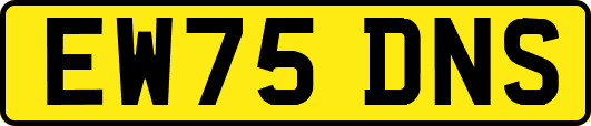 EW75DNS