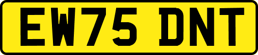 EW75DNT