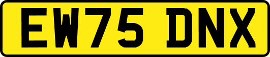 EW75DNX