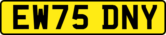 EW75DNY