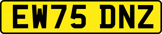 EW75DNZ