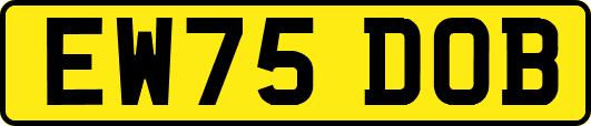 EW75DOB
