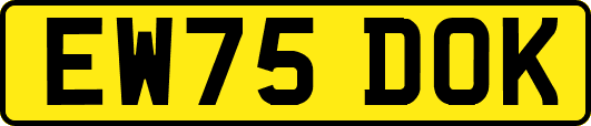 EW75DOK