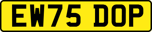 EW75DOP