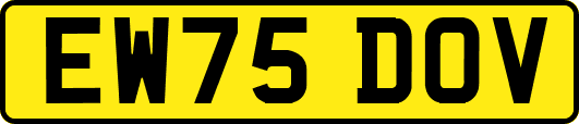 EW75DOV