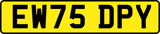 EW75DPY