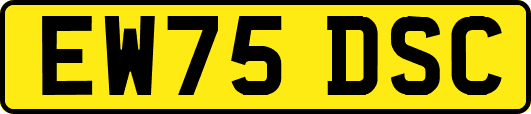 EW75DSC