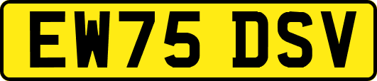 EW75DSV