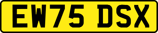 EW75DSX