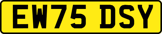 EW75DSY