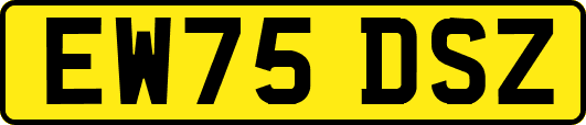 EW75DSZ