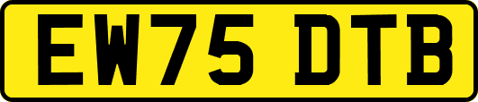 EW75DTB