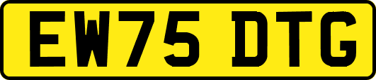 EW75DTG