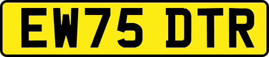 EW75DTR